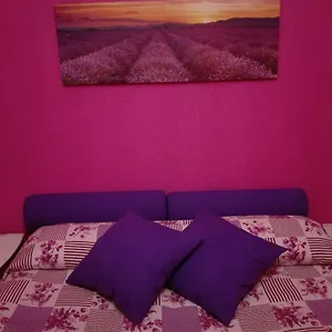  Apartamento La Casa Di Rosco